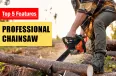 Os 5 principais recursos para procurar em uma serra elétrica profissional